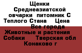 Щенки Среднеазиатской овчарки (питомник С Теплого Стана) › Цена ­ 20 000 - Все города Животные и растения » Собаки   . Тверская обл.,Конаково г.